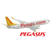 Pegasus Hava Taşımacılığı Anonim Şirketi